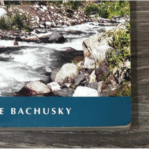 Ghost Town Stories of BC Book by Johnnie Bachusky Paperback 2011 - Picture 3 of 7